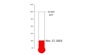 20 for 20 campaign progress